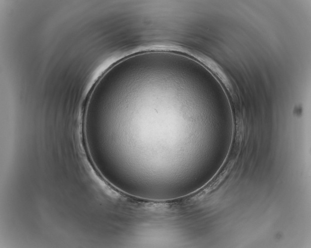X0000090981006200708091453