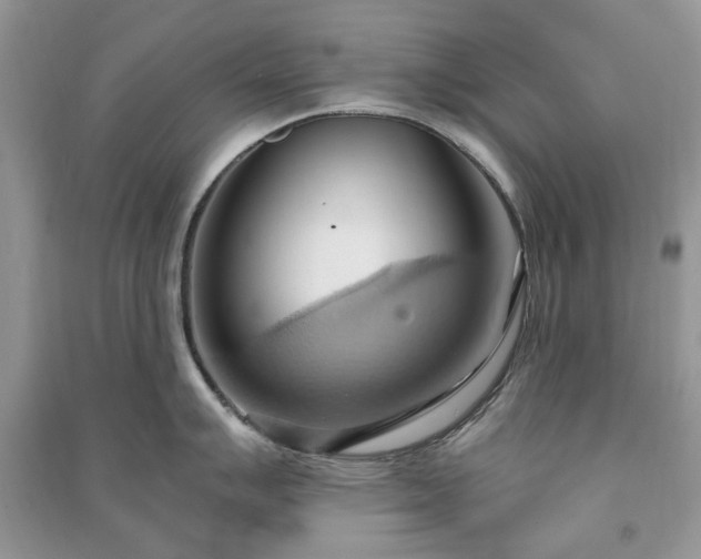 X0000090981007200708091453