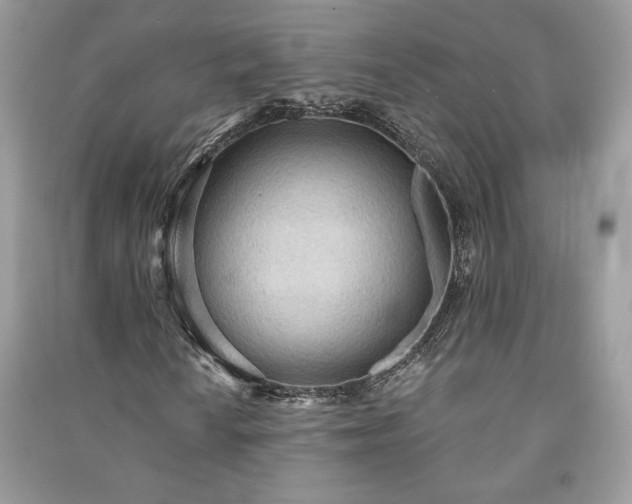 X0000090981010200708091453