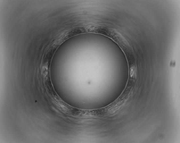 X0000090981011200708091453