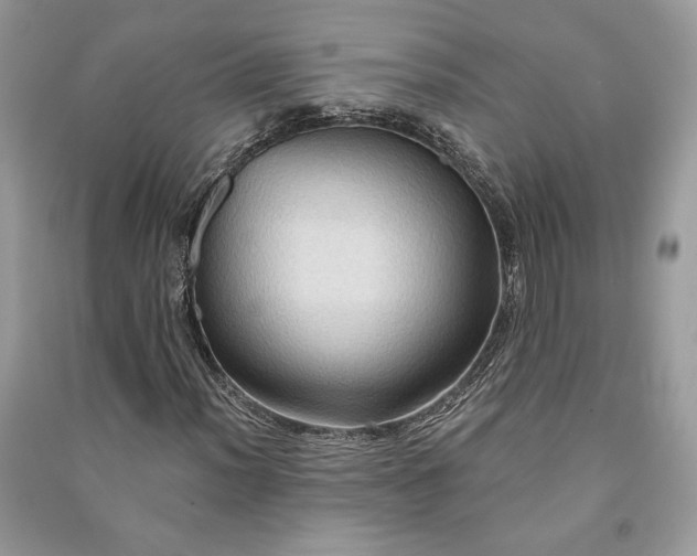 X0000090981012200708091453