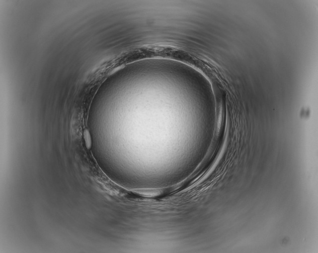 X0000090981014200708091453
