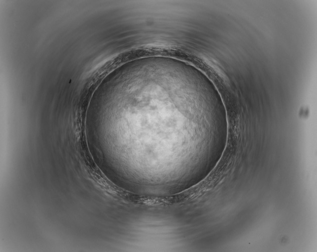 X0000090981015200708091453