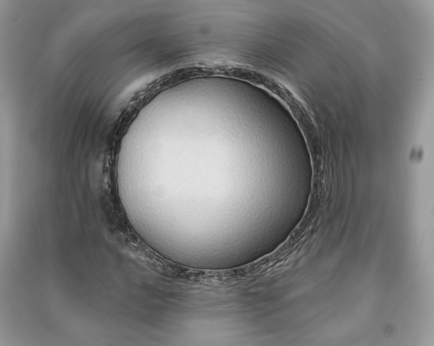 X0000090981016200708091453
