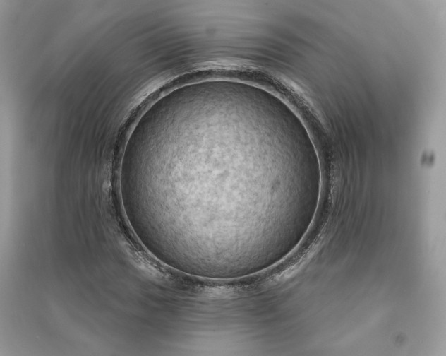 X0000090981017200708091453
