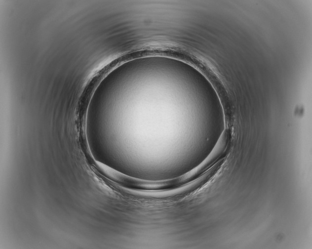 X0000090981018200708091453