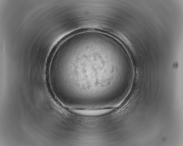X0000090981020200708091453