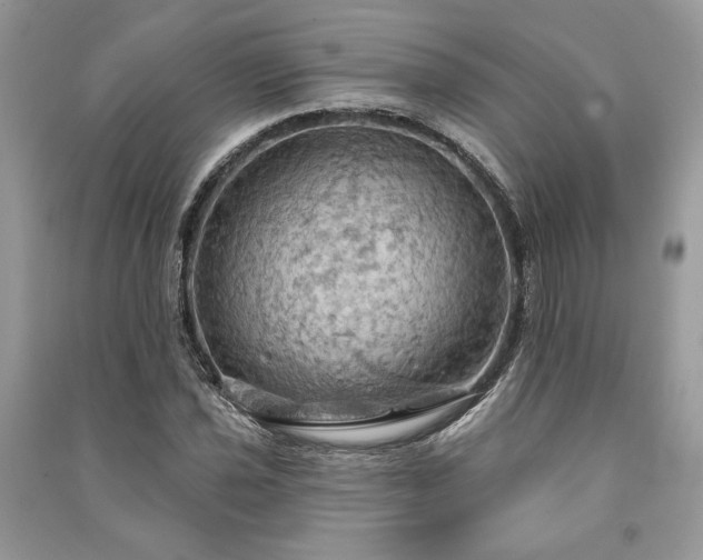 X0000090981021200708091453