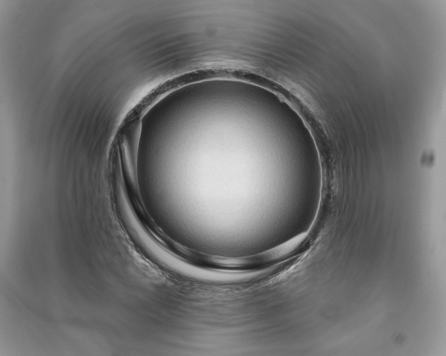 X0000090981022200708091453