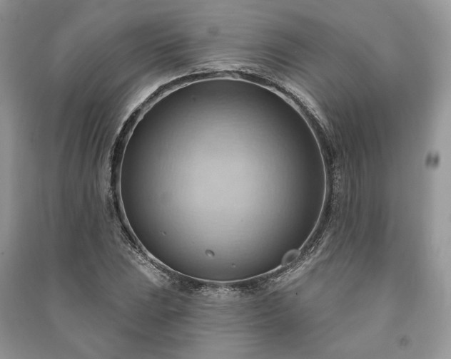 X0000090981023200708091453