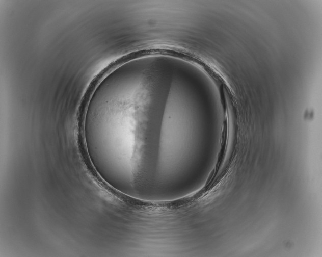 X0000090981024200708091453