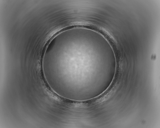 X0000090981025200708091453