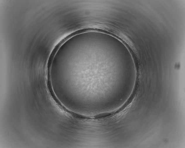 X0000090981028200708091453