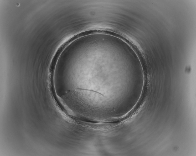 X0000090981029200708091453