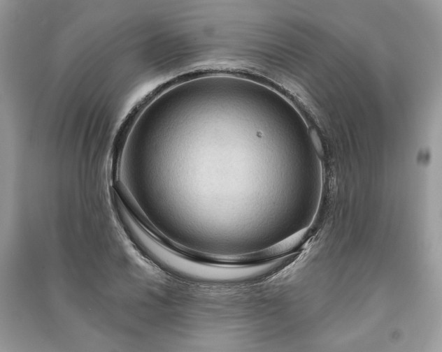 X0000090981030200708091453