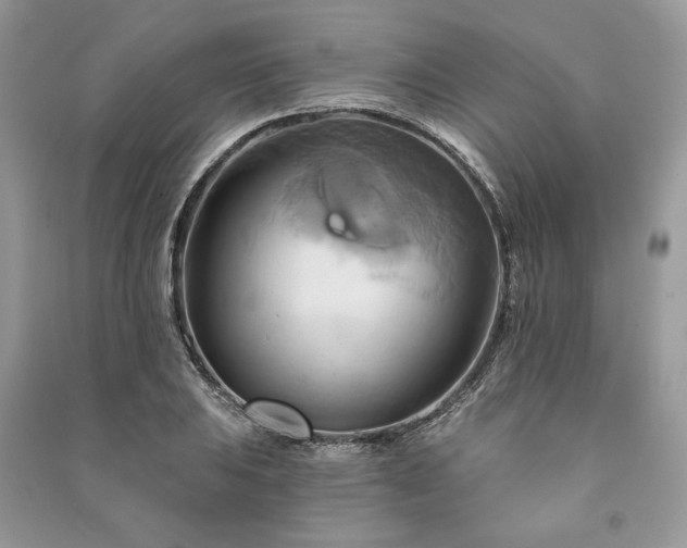 X0000090981031200708091453