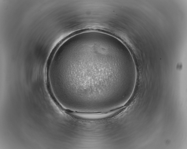 X0000090981032200708091453