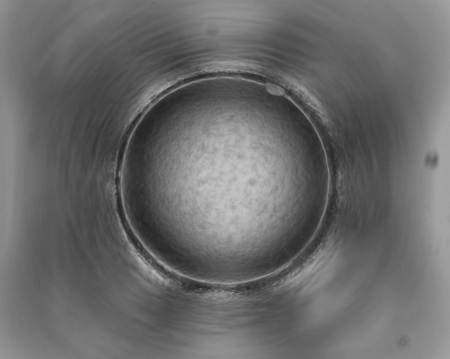 X0000090981033200708091453