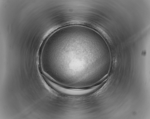 X0000090981034200708091453