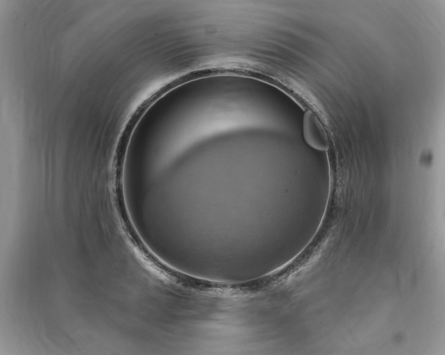 X0000090981037200708091453