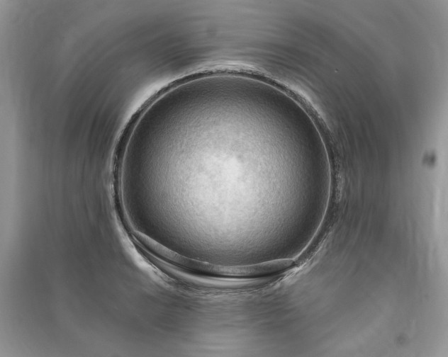 X0000090981038200708091453
