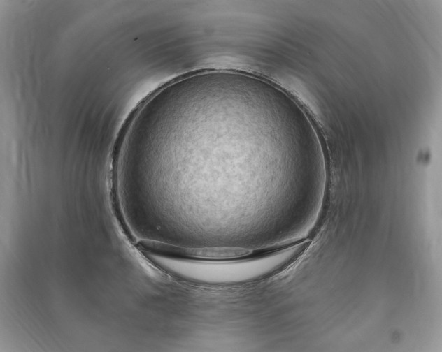 X0000090981040200708091453