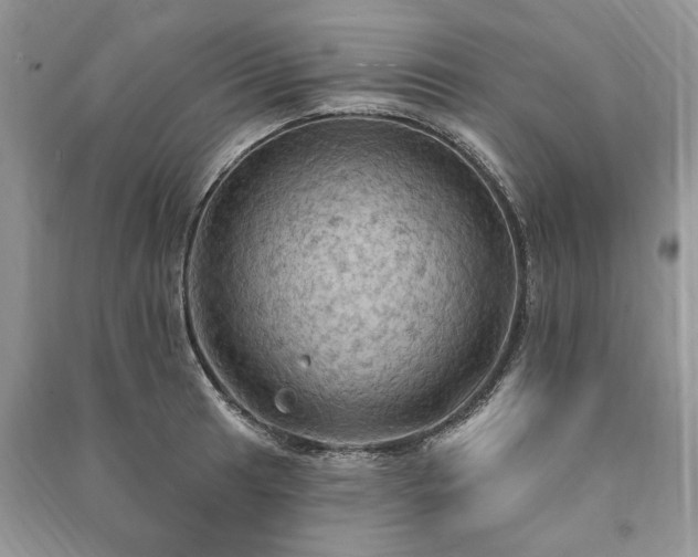 X0000090981041200708091453