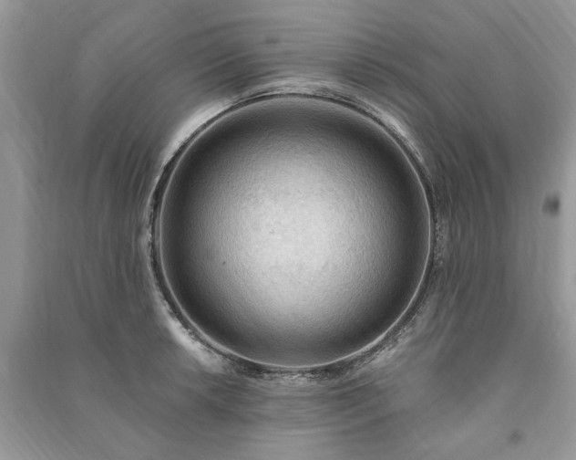 X0000090981042200708091453