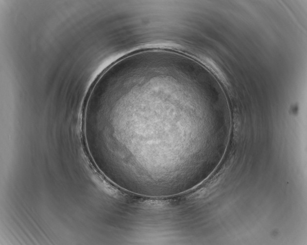 X0000090981044200708091453