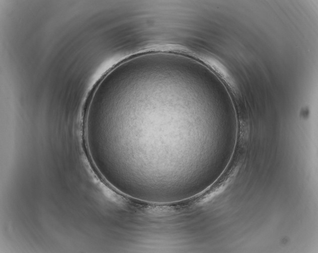 X0000090981046200708091453