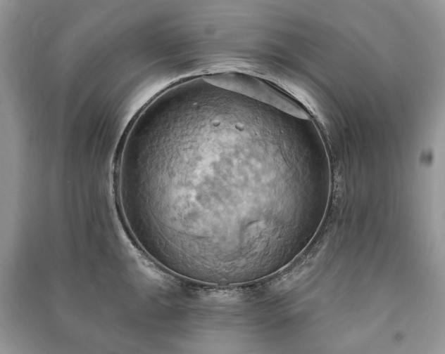 X0000090981047200708091453