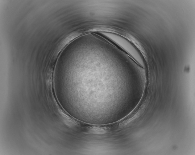 X0000090981049200708091453
