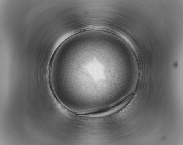 X0000090981050200708091453