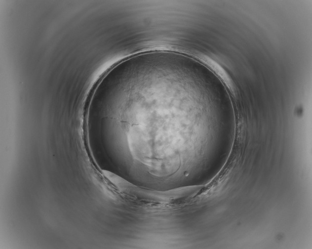 X0000090981051200708091453