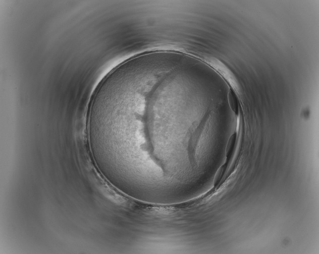 X0000090981052200708091453