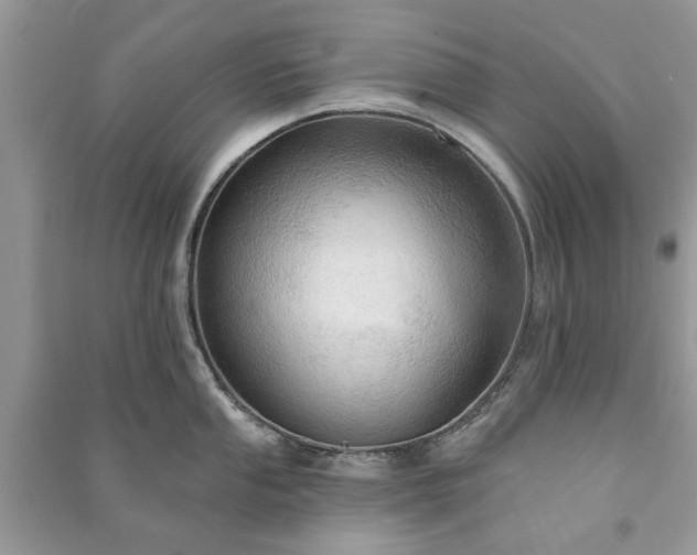 X0000090981053200708091453