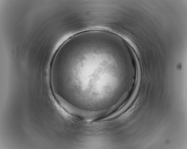 X0000090981054200708091453