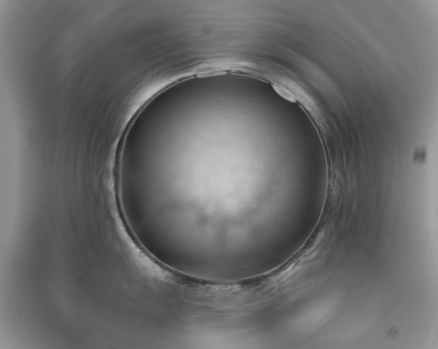 X0000090981055200708091453