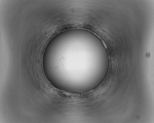 X0000090981057200708091453