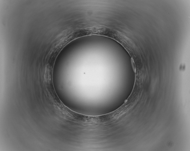 X0000090981058200708091453