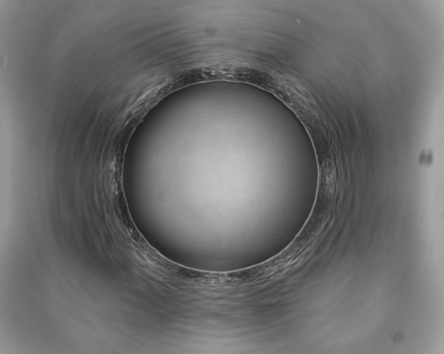 X0000090981060200708091453