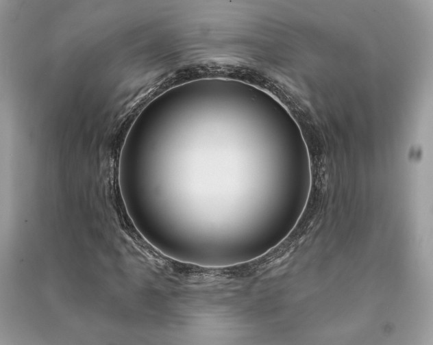 X0000090981061200708091453