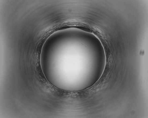 X0000090981062200708091453