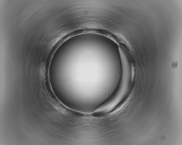 X0000090981065200708091453