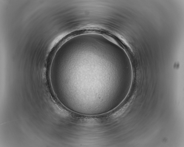 X0000090981066200708091453