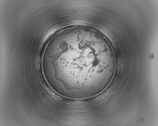X0000090981067200708091453