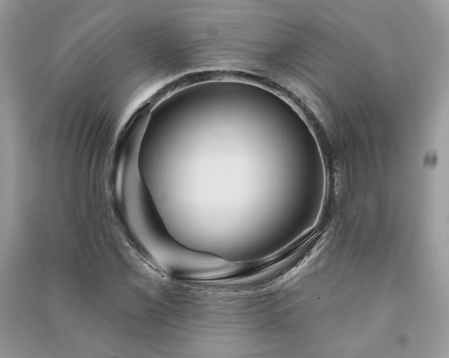 X0000090981069200708091453