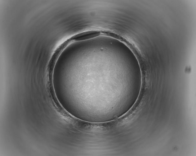 X0000090981070200708091453