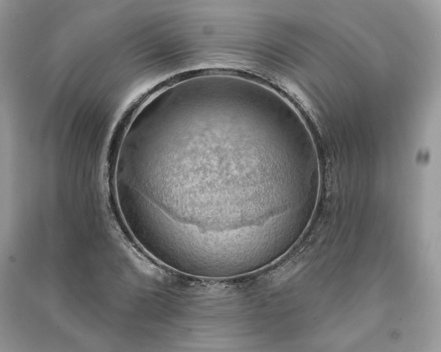 X0000090981072200708091453