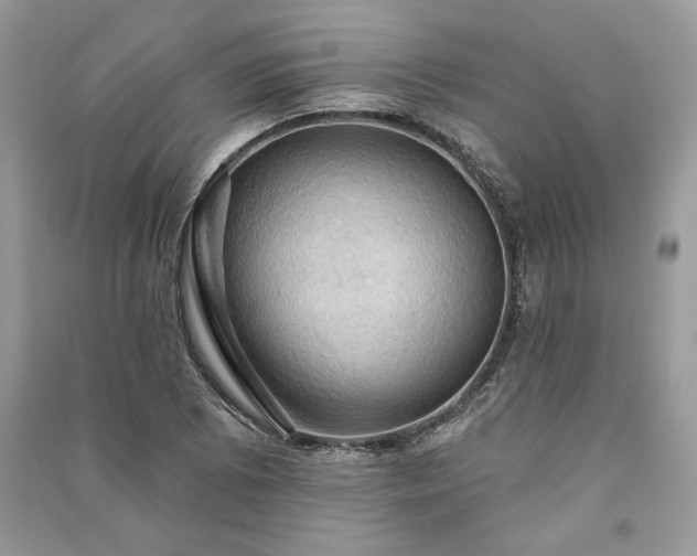 X0000090981073200708091453
